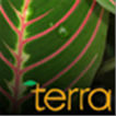 TERRA: The Nature of Our World Logo