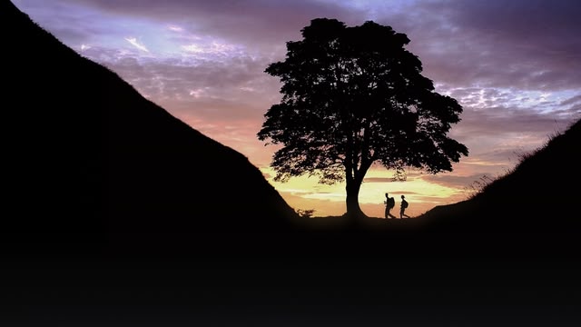Love Nature