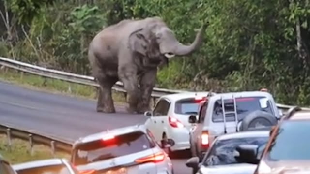 Caught On Dashcam