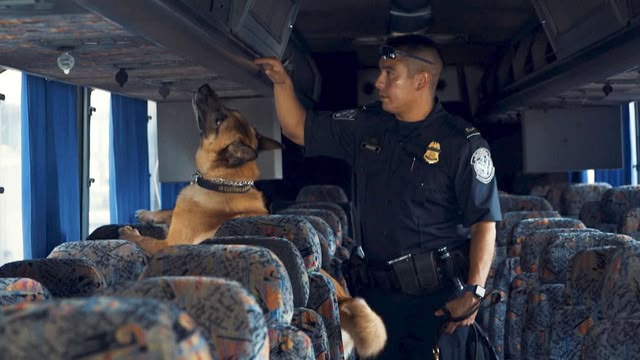 Border Force