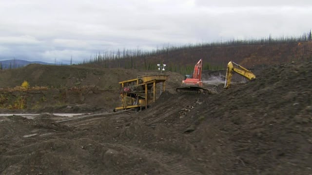 Yukon Gold