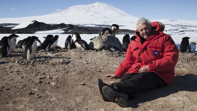 Frozen Planet
