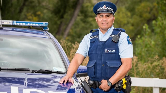 Highway Cops