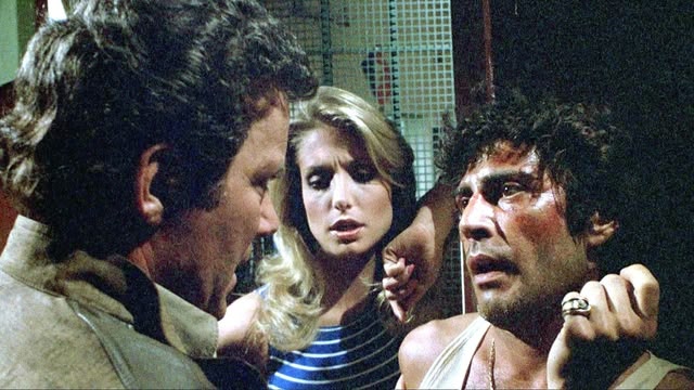 T.J. Hooker