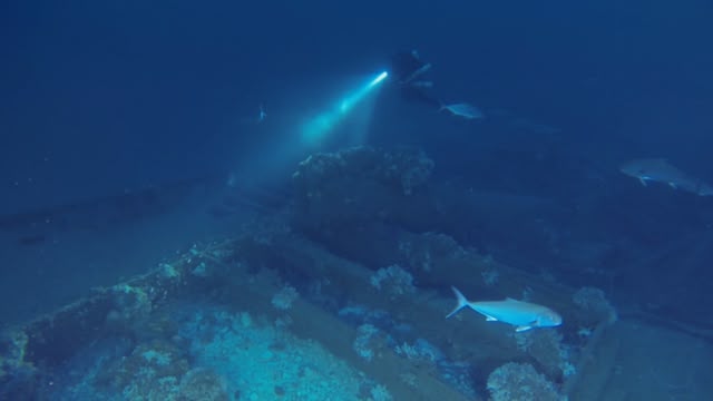 Shipwreck Secrets