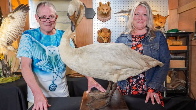 Salvage Hunters