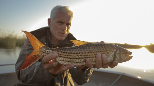 River Monsters