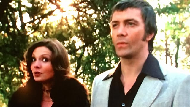 The Professionals