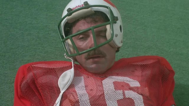 Magnum, P.I.