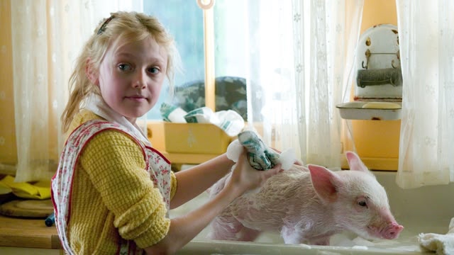 Charlotte’s Web