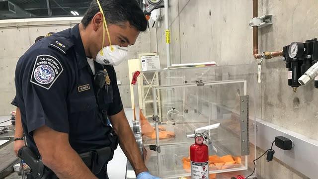 Border Force America’s Gatekeepers