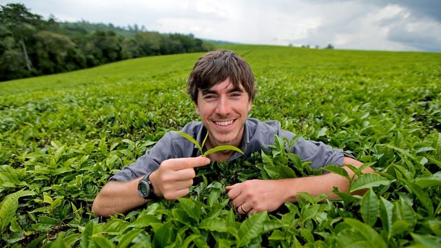 This World: The Tea Trail