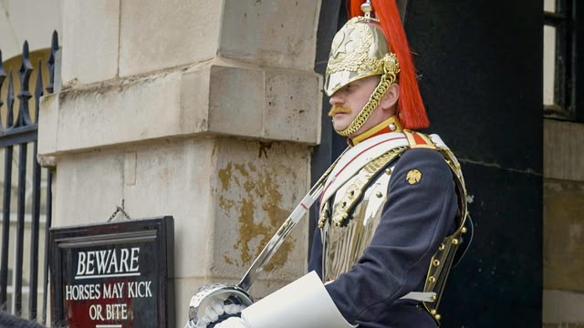 The King's Guard: Serving the Crown