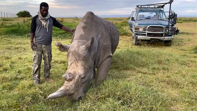Expedition Rhino