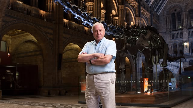 David Attenborough’s Natural History Museum Alive