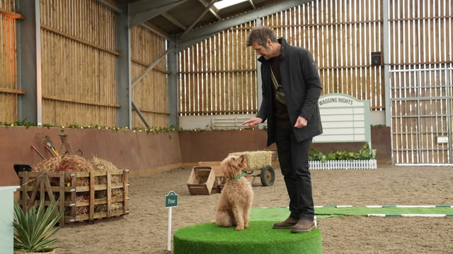 New: Wagging Rights
