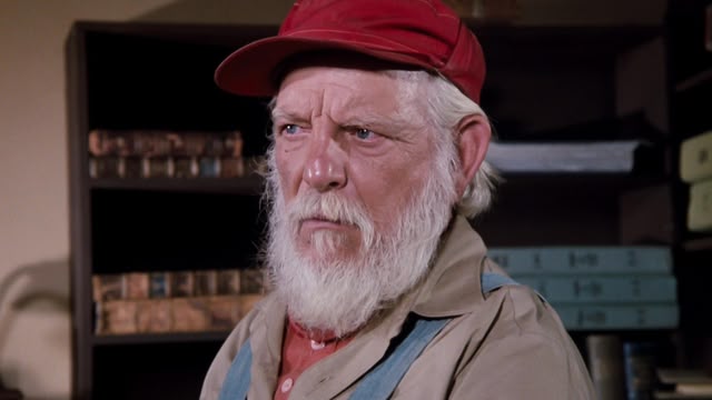 The Dukes of Hazzard