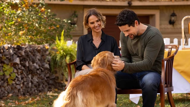 FILM: Love Is A Dog’s Best Friend