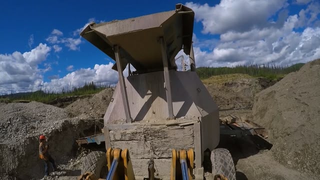 Yukon Gold