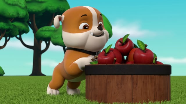 PAW Patrol