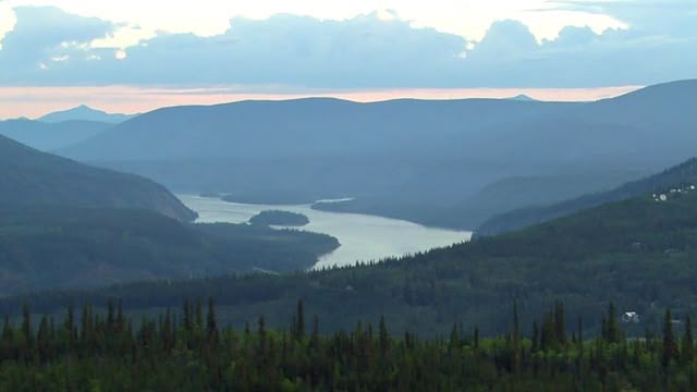 Yukon Gold