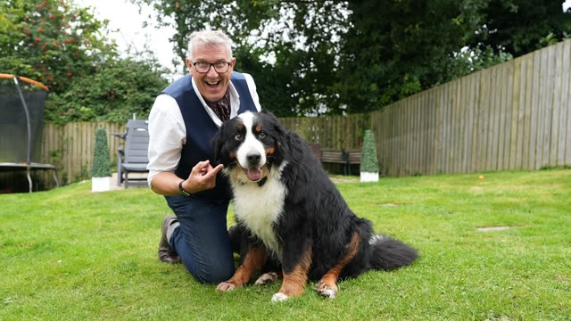 Dogs Behaving (Very) Badly