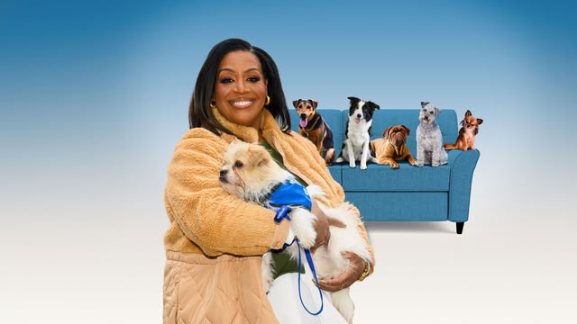 For the Love of Dogs