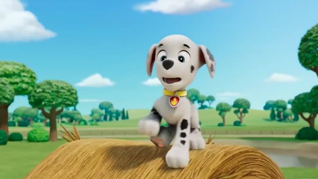 PAW Patrol