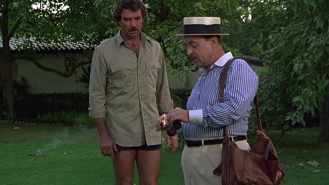 Magnum, P.I.