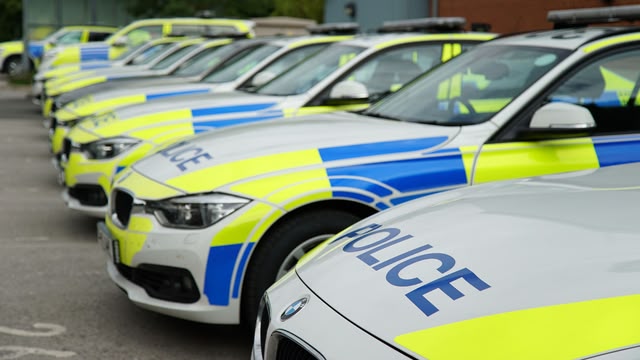 Traffic Cops