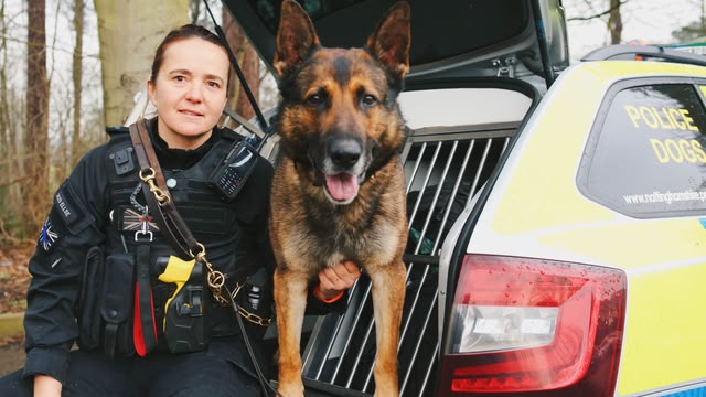 Police Interceptors