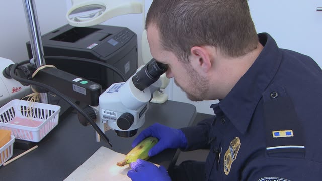 Border Security: America's Frontline