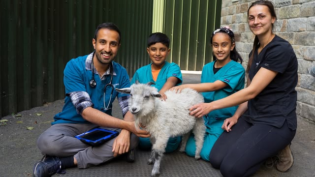 New: Animal Care Club
