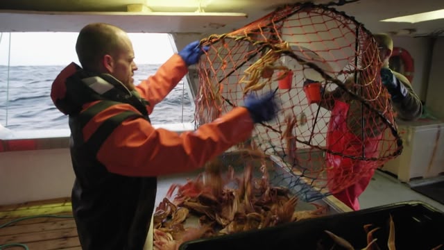 New: East Harbour Heroes