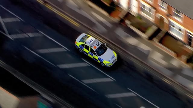 Traffic Cops