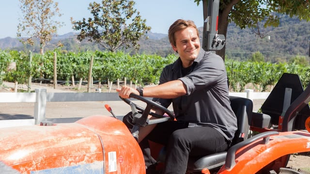 Love on the Vines Love on the Vines