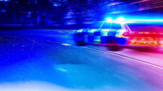 Police Interceptors