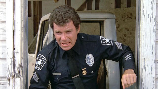 T.J. Hooker
