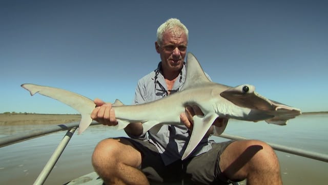 River Monsters