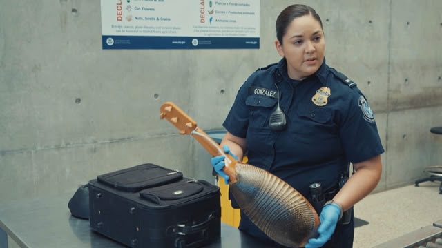 Border Force America's Gatekeepers