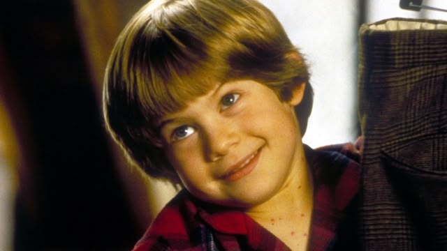 Home Alone 3