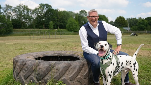 Dogs Behaving