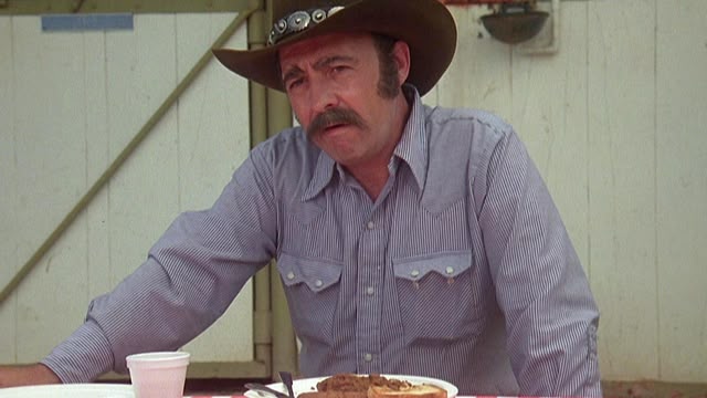 Magnum, P.I.
