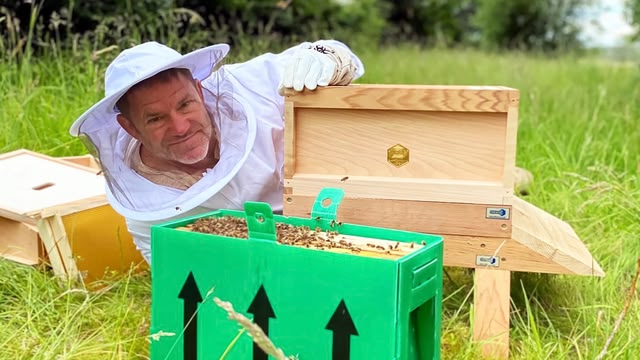 The Secret Life of Bees