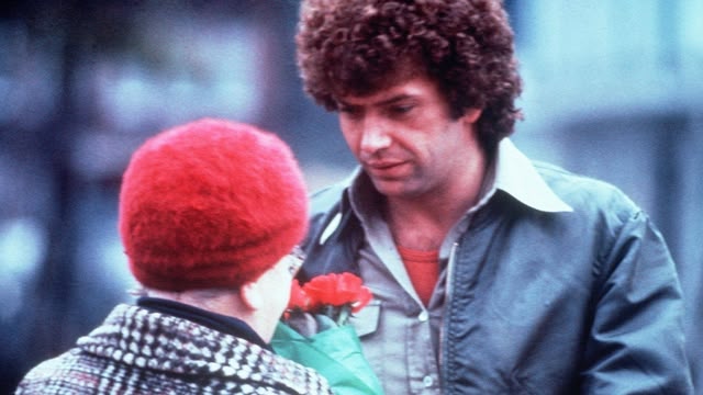 The Professionals