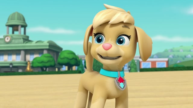 PAW Patrol