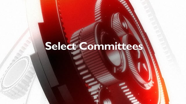 Select Committees