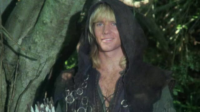 Robin of Sherwood