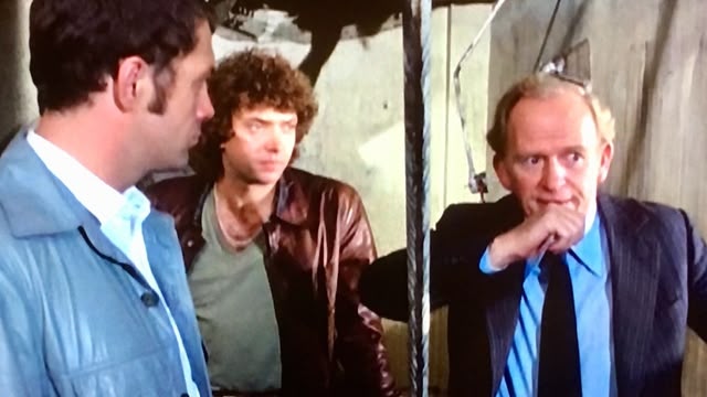 The Professionals