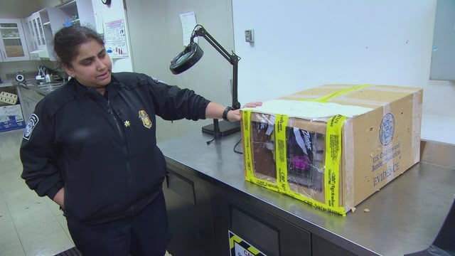 Border Security: America’s Frontline